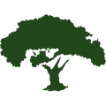 afrikanischer Baum