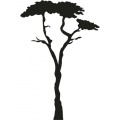 Baum, afrikanisch